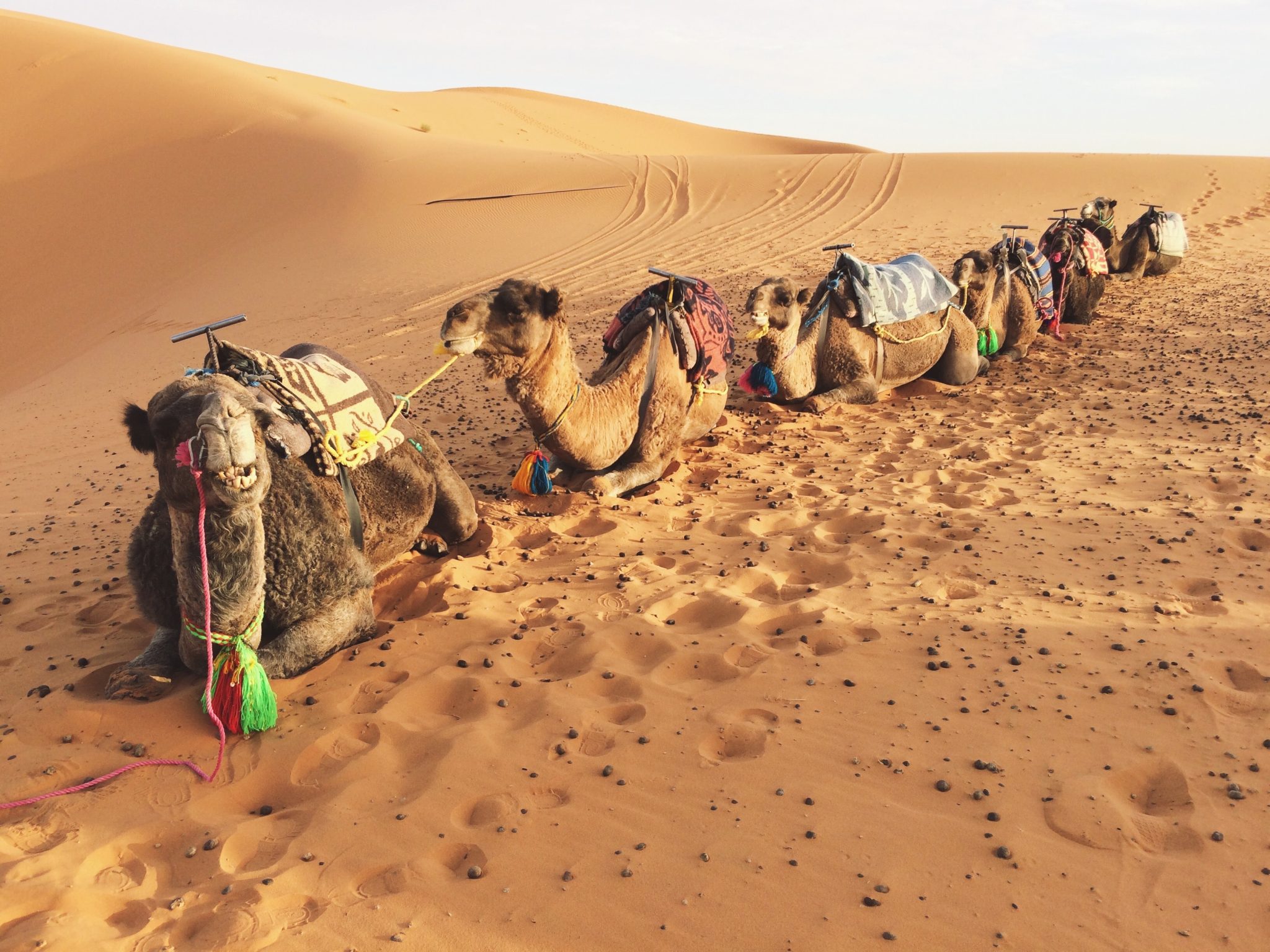 Morocco 2024 Changing Pace Travel   Morroco B 2048x1536 